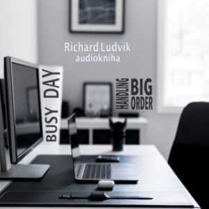 Busy Day - Handling Big Order - Richard Ludvík - audiokniha